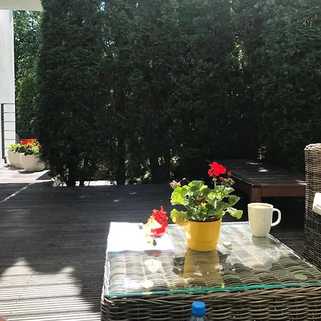 Zielone Zacisze Na Kamiennej Gorze W Gdyni 그디니아