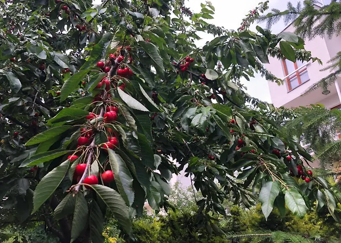 Prázdninový dům Zielone Zacisze Na Kamiennej Gorze W Gdyni