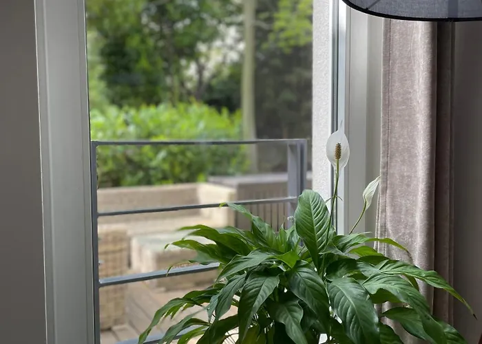 Zielone Zacisze Na Kamiennej Gorze W Gdyni *